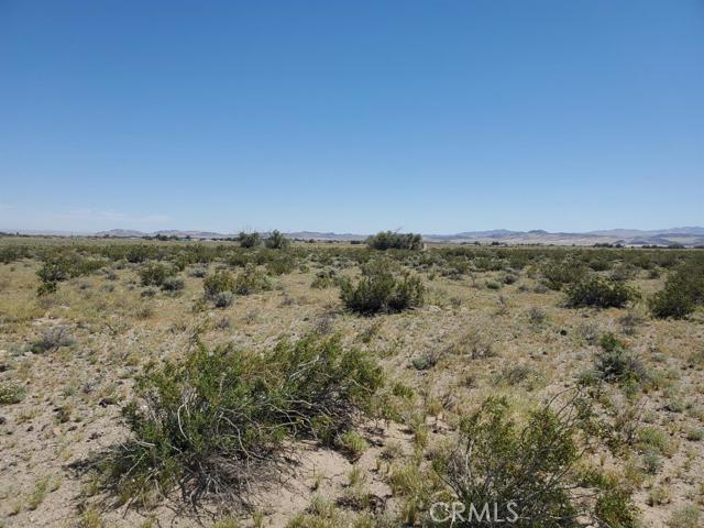 0 Autumn Leaf Road, Newberry Springs, CA 92365