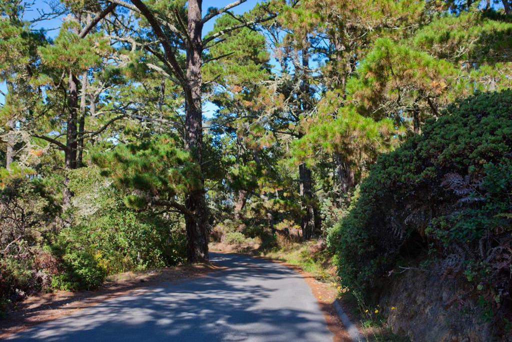 3400 Red Wolf Drive, Carmel, CA 93923