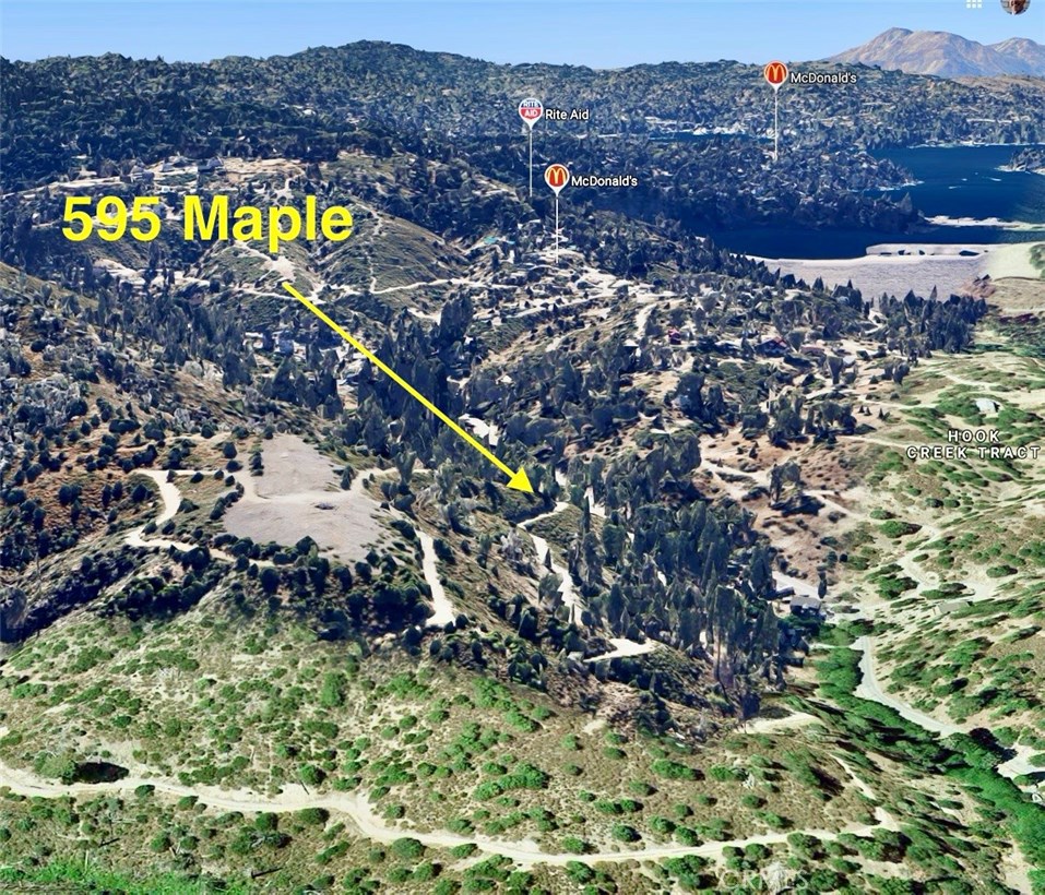 595 Maple Drive, Lake Arrowhead, CA 92352