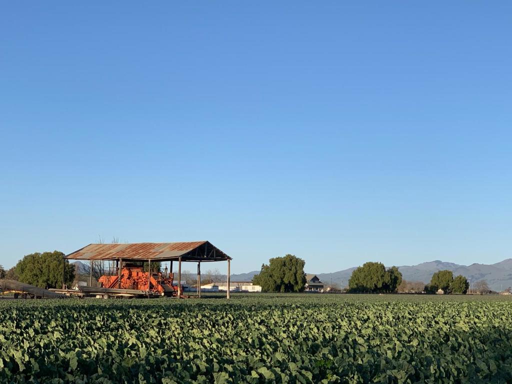 , San Juan Bautista, CA 95045