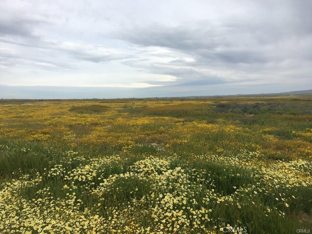 0 Buffalo - A, California Valley, CA 93453