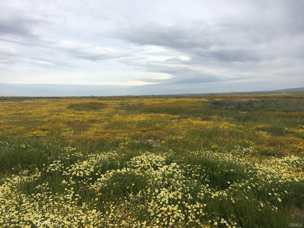 0 Buffalo - C, California Valley, CA 93453