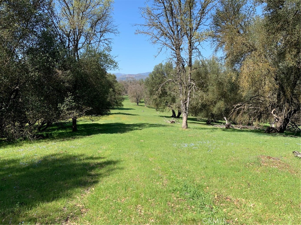 160 Acres Digger Pine Drive, Mariposa, CA 95338