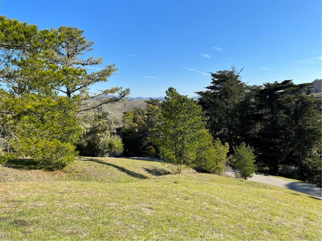 0 Linden Court, Cambria, CA 93428