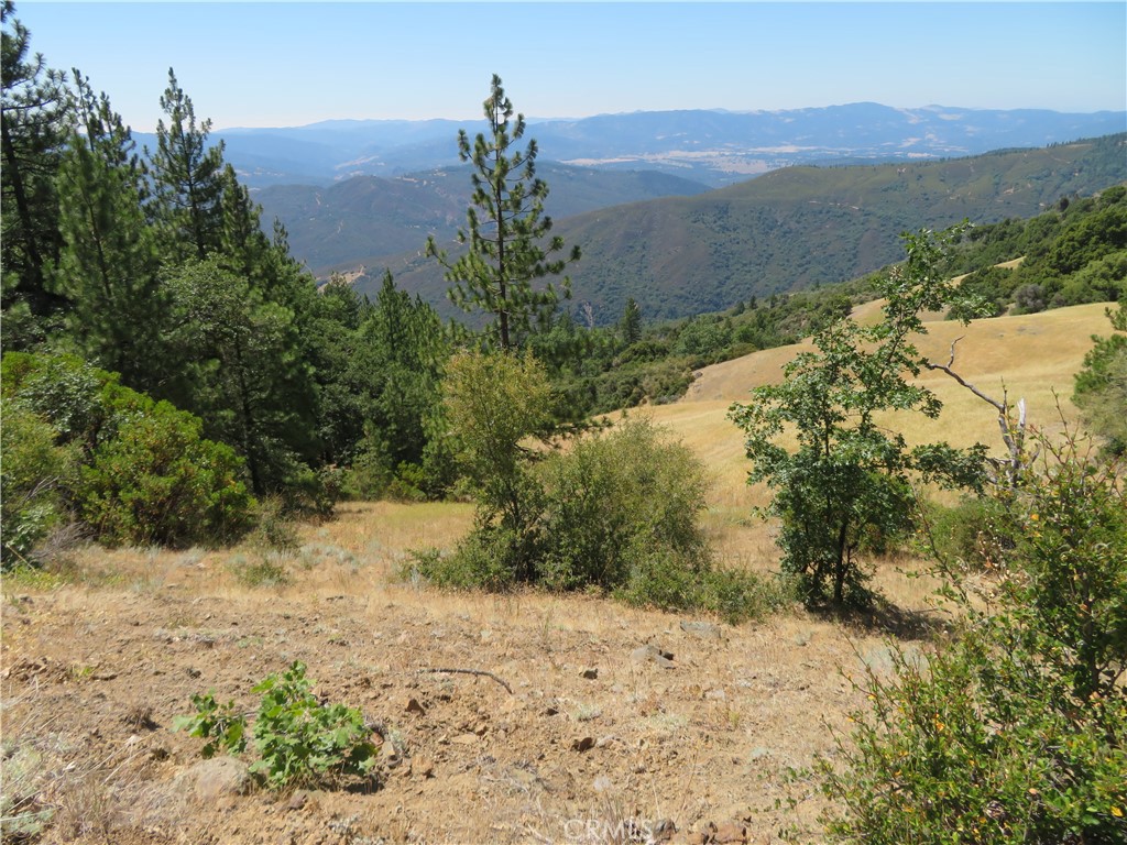 0 Barns Ranch Road, Covelo, CA 95428