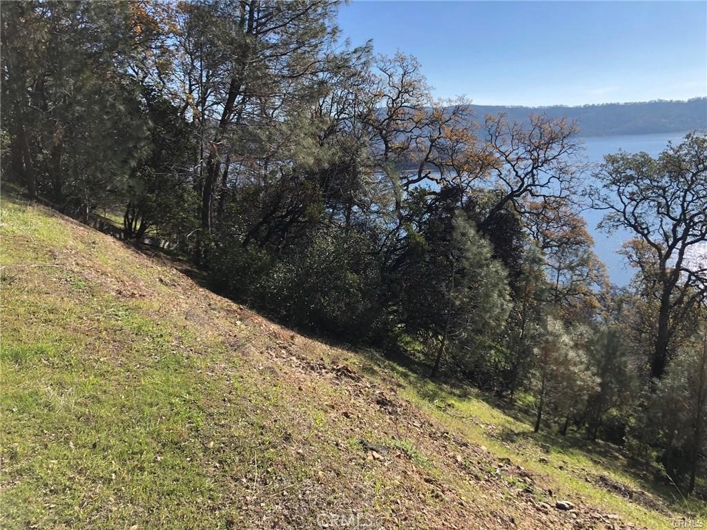 11705 Lakeview Drive, Clearlake Oaks, CA 95423