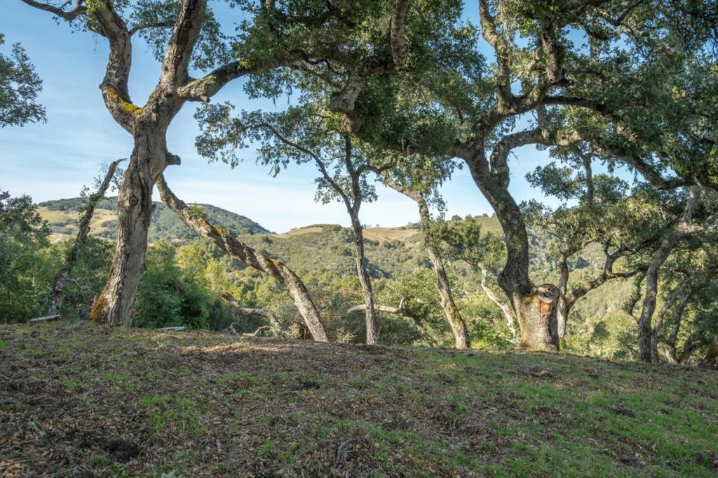 5 Vasquez Trail (Lot 170), Carmel, CA 93923