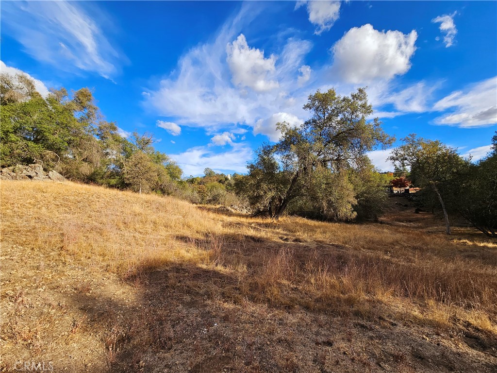 46 Lot Ranger Circle Drive, Coarsegold, CA 93614