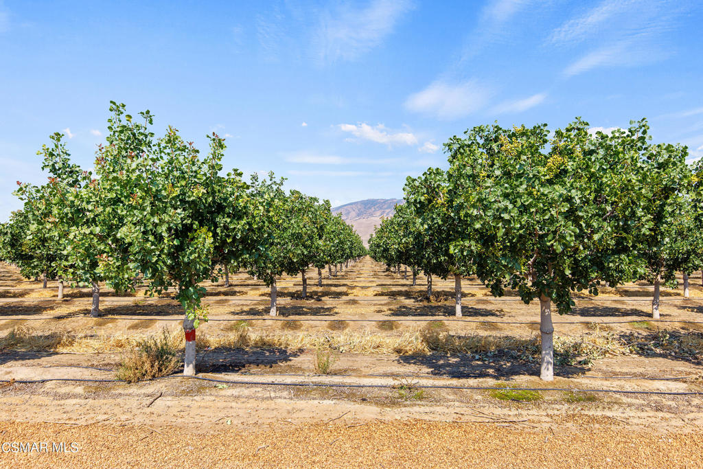 Tejon Highway, Arvin, CA 93203