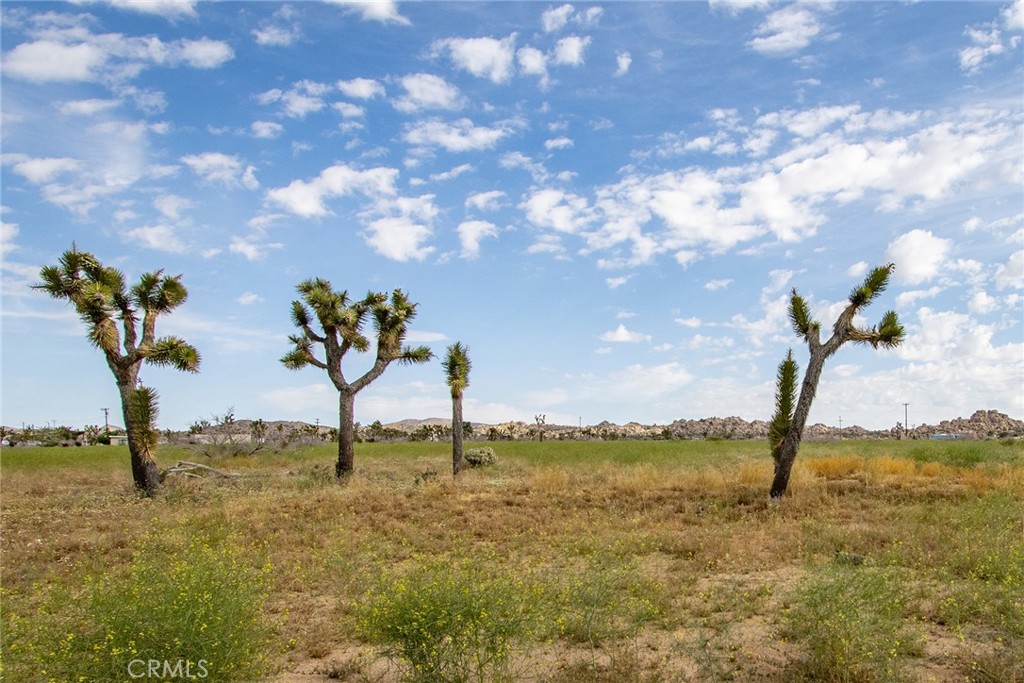 52550 Geronimo Trail, Pioneertown, CA 92268