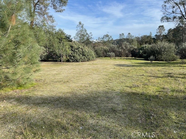 0 S Long Hollow Court, Coarsegold, CA 93614