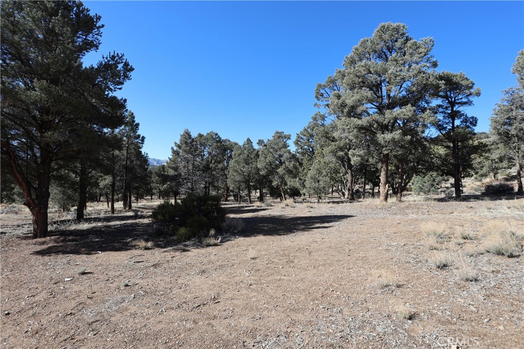 1221 Kickapoo Drive, Big Bear City, CA 92314