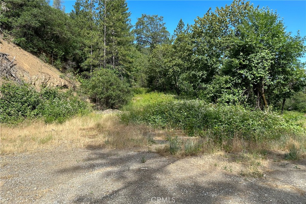 18102 Obrien Inlet Road, Lakehead, CA 96051