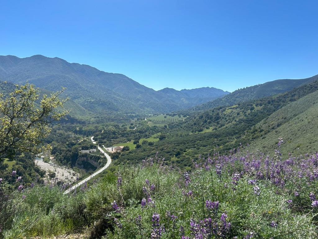 47208 Arroyo Seco Road | Similar Property Thumbnail 3