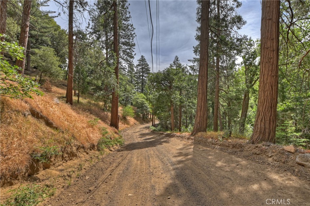 110 Lots 110-123 Burnt Mill Canyon Road, Cedarpines Park, CA 92322