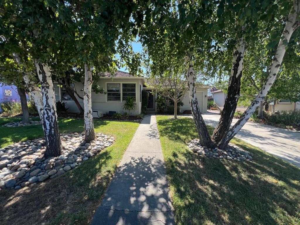 375 Macarthur Avenue, San Jose, CA 95128