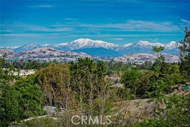 1941 Skyline Drive | Similar Property Thumbnail