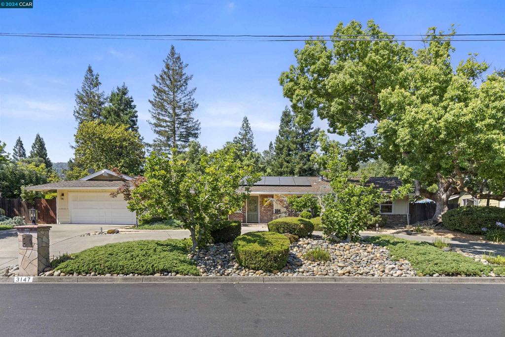 3147 Via Larga, Alamo, CA 94507