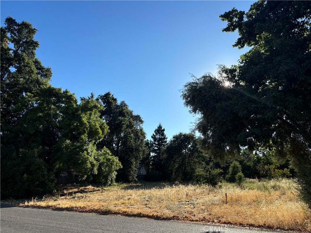 0 Miller Avenue, Chico, CA 95928