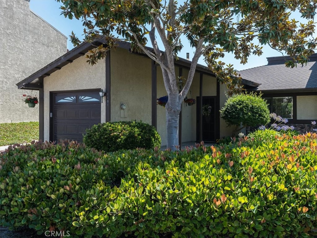 1101 Grieb Drive, Arroyo Grande, CA 93420