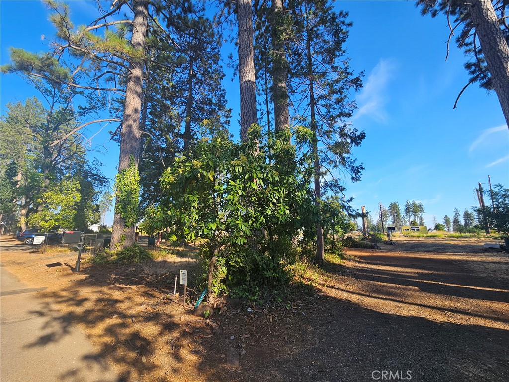 554 Bille Road, Paradise, CA 95969