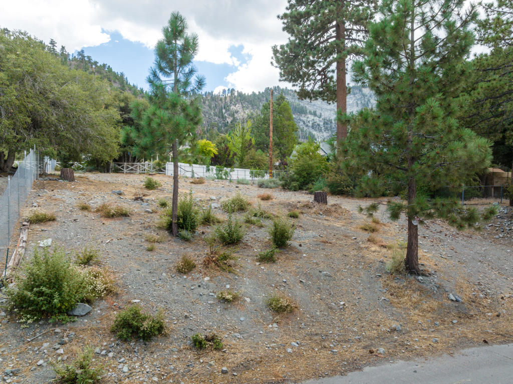 5240 Desert View Drive, Wrightwood, CA 92397