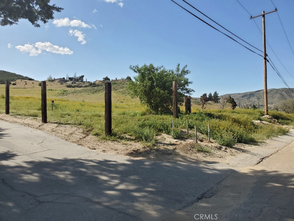 87 W 87Th Street, Leona Valley, CA 93551