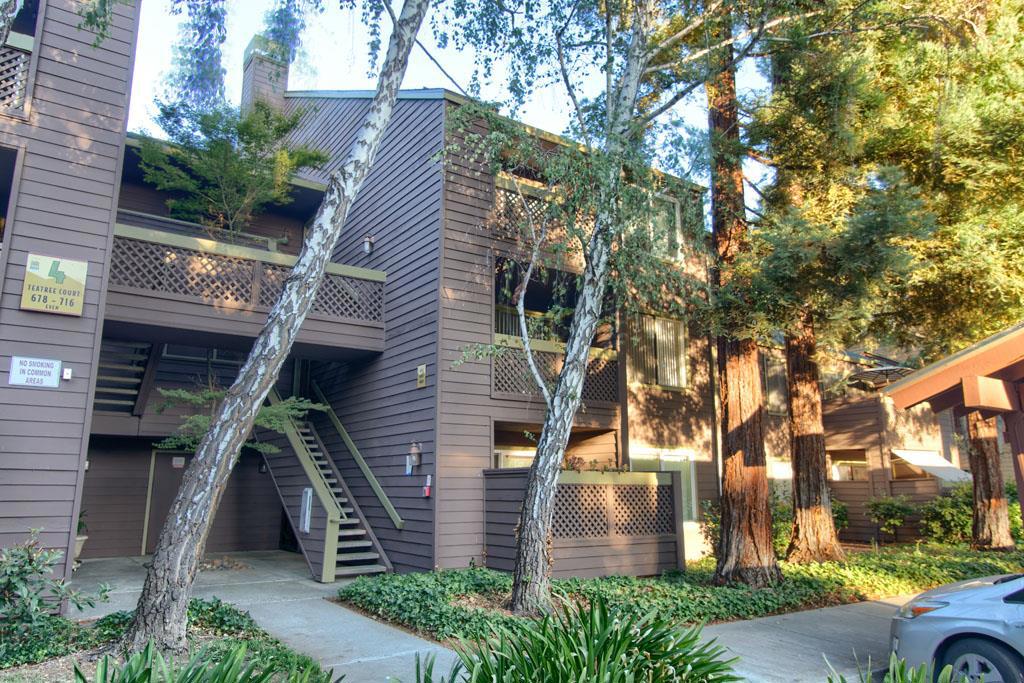 690 Teatree Court, San Jose, CA 95128