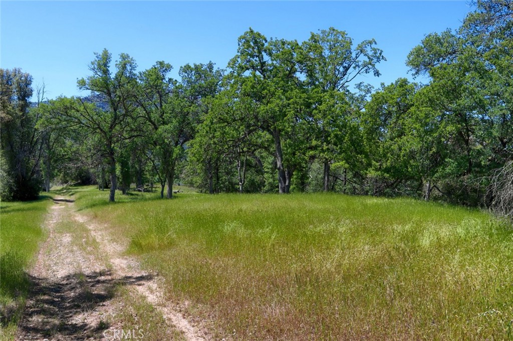 0 11.84 AC Road 425A, Oakhurst, CA 93644