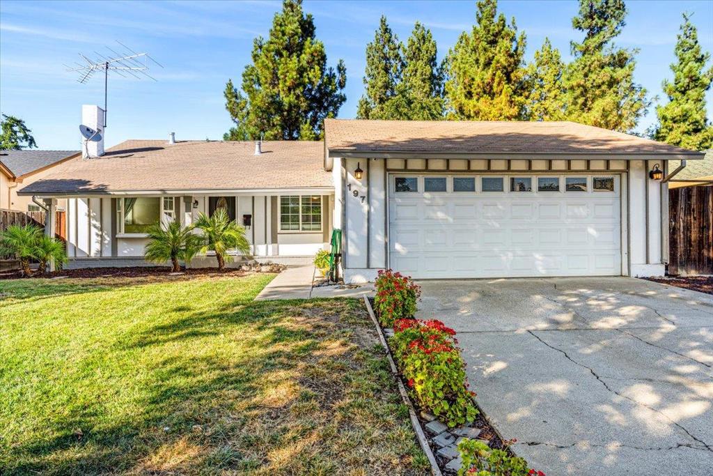 197 Burning Tree Drive, San Jose, CA 95119