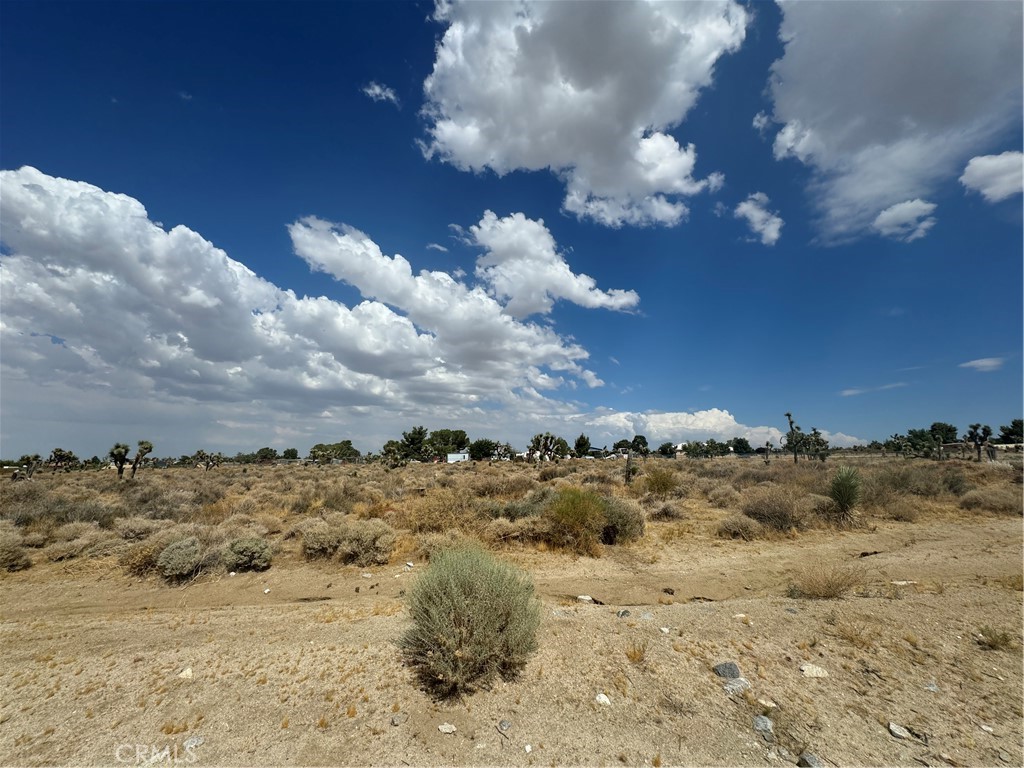 0 Desert View, Pinon Hills, CA 92372