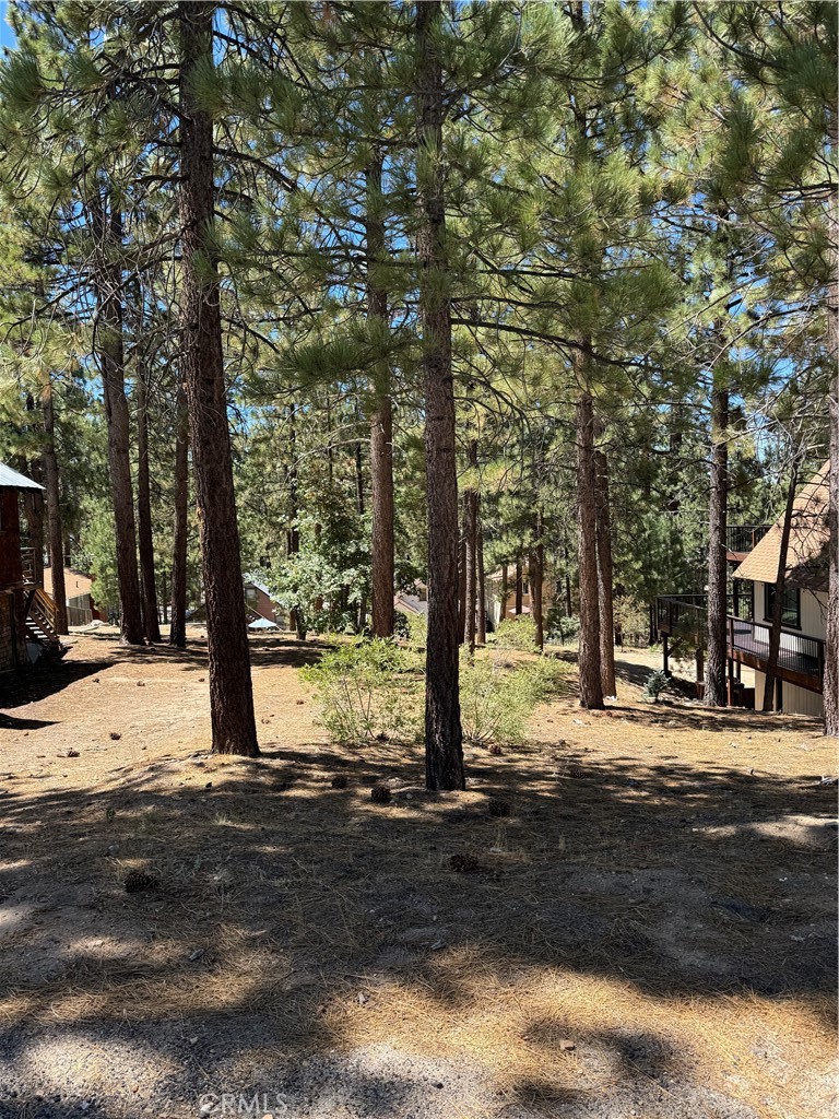 0 Main Street, Big Bear Lake, CA 92315