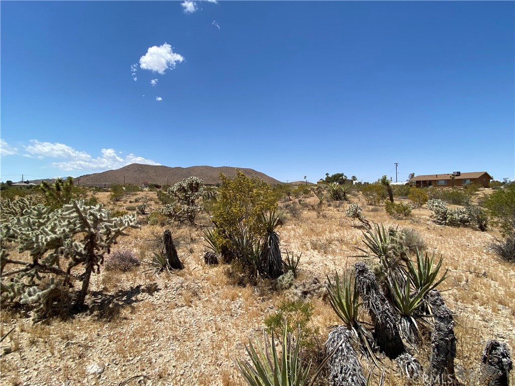 59136 Wilcox Lane, Yucca Valley, CA 92284