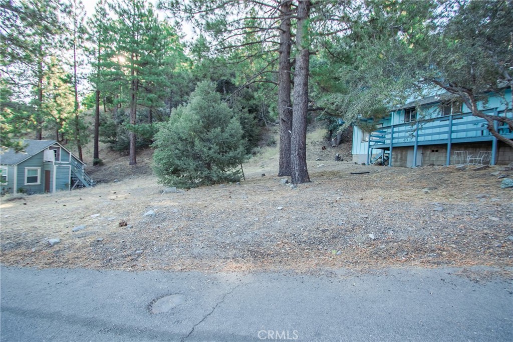 0 E Canyon Dr, Wrightwood, CA 92397