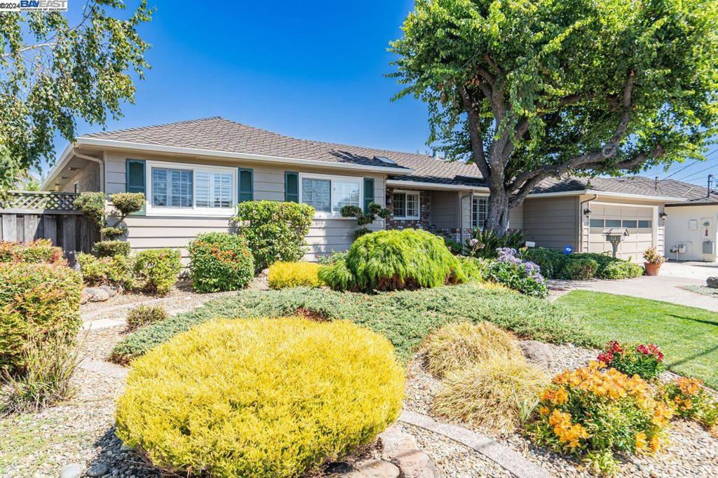 38084 Ballard Dr, Fremont, CA 94536