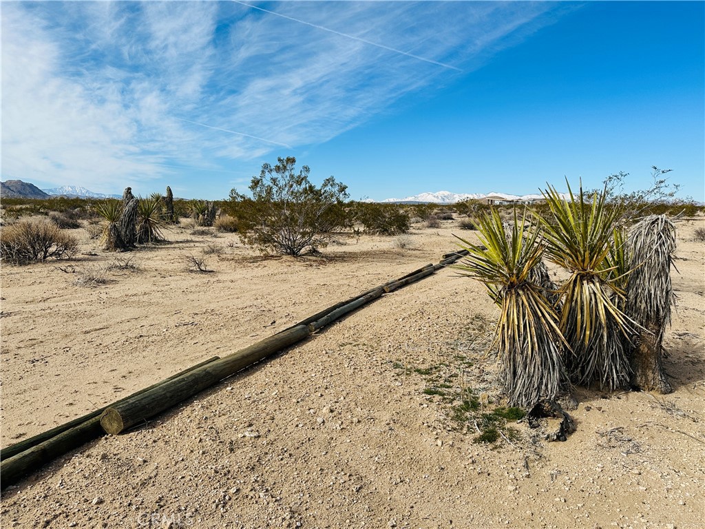 1234 Desert Lily Street | Similar Property Thumbnail