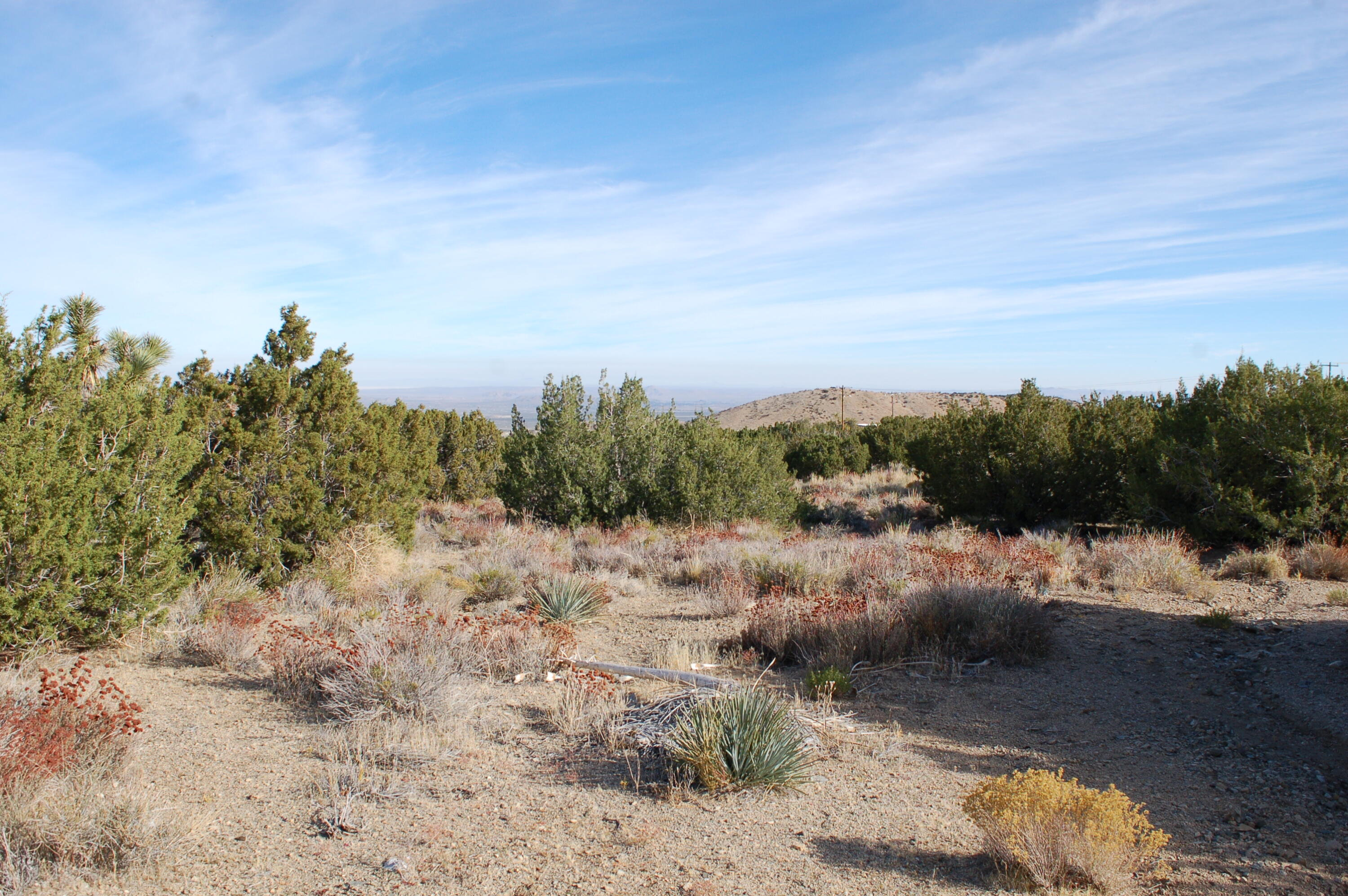 0000 Vic Linda Mesa Juniper H, Juniper Hills, CA 93543