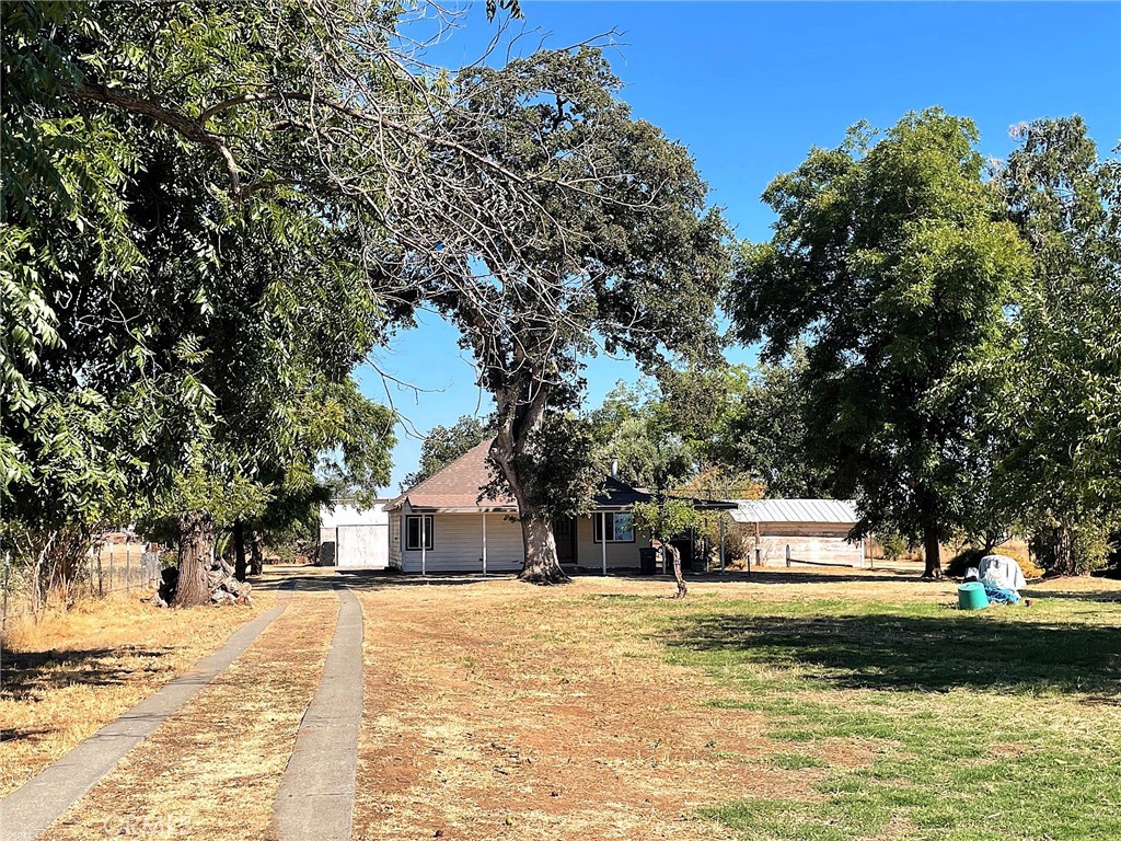 23695 Olive Avenue, Gerber, CA 96035