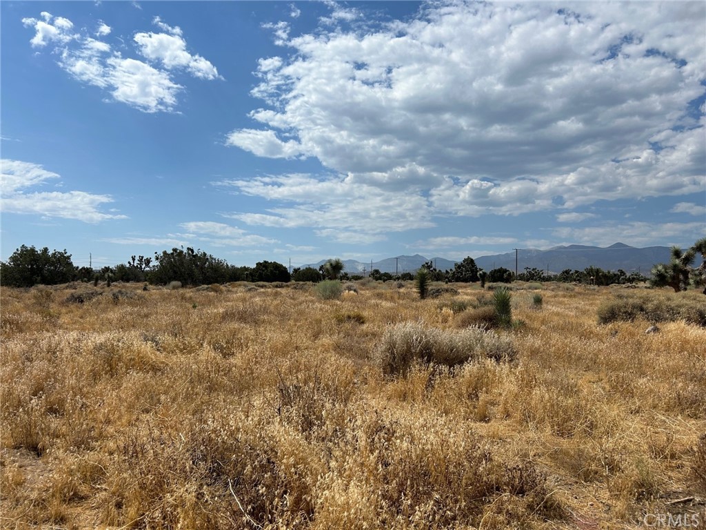 0 White Fox Trail, Phelan, CA 92371