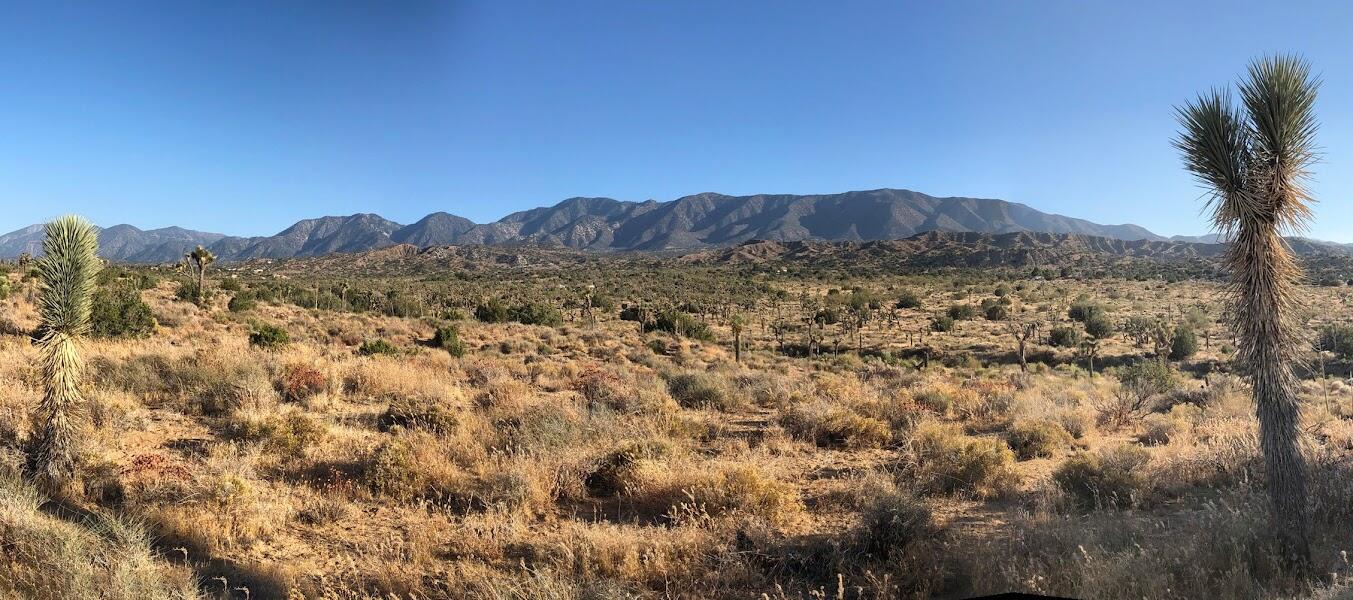 11640 Fort Tejon Road | Similar Property Thumbnail