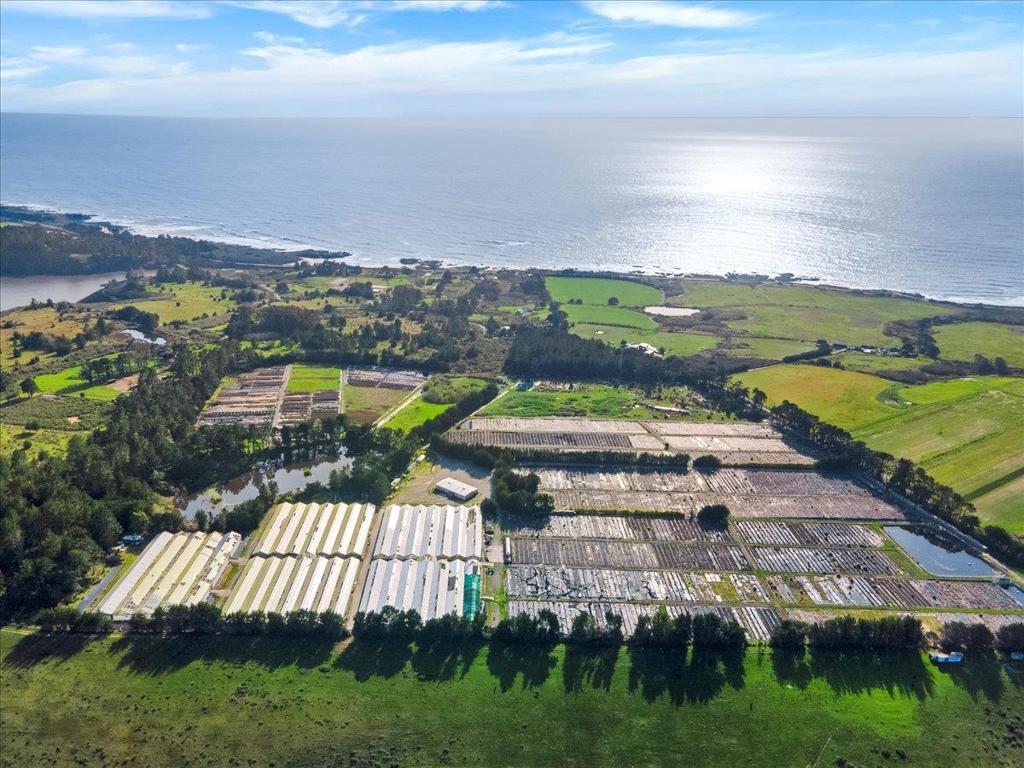 1000 Bean Hollow Road, Pescadero, CA 94060