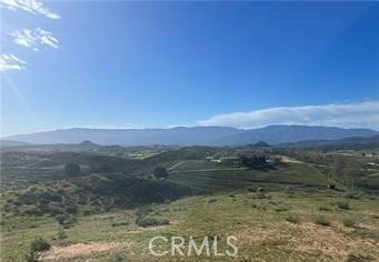 38497 Trifone Road | Similar Property Thumbnail