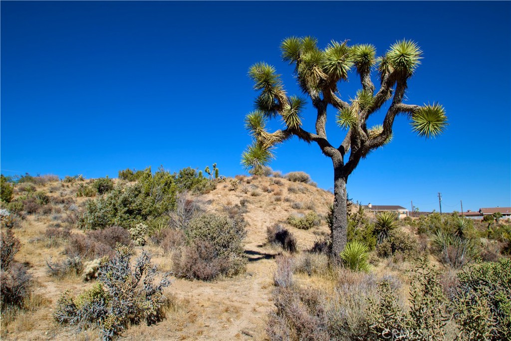 0 Brisbane Avenue, Yucca Valley, CA 92284