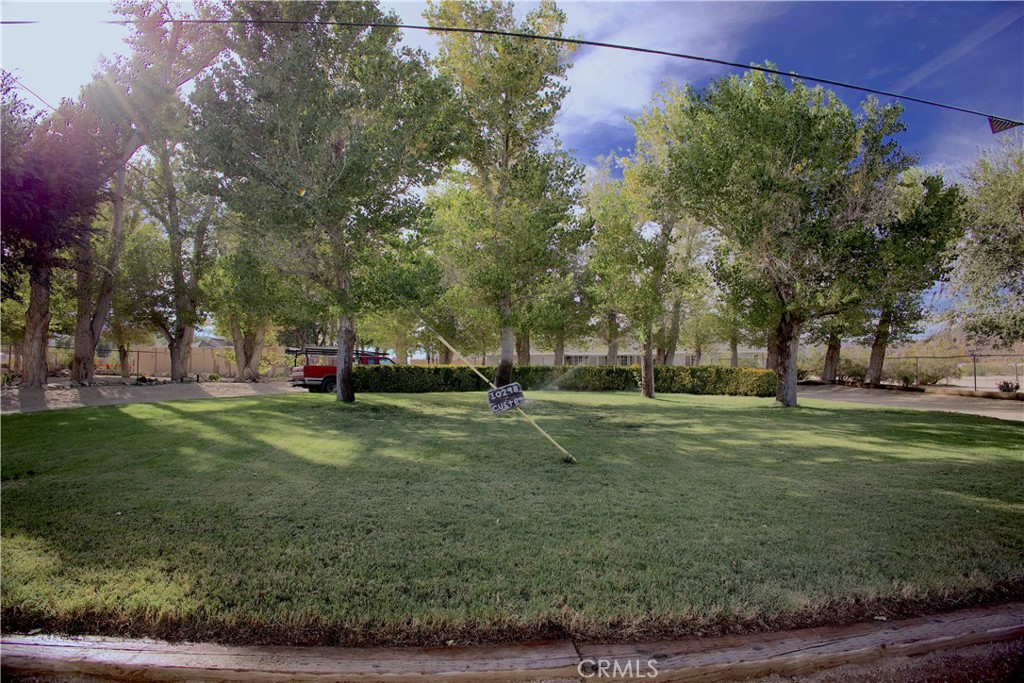 10298 Custer Avenue | Similar Property Thumbnail