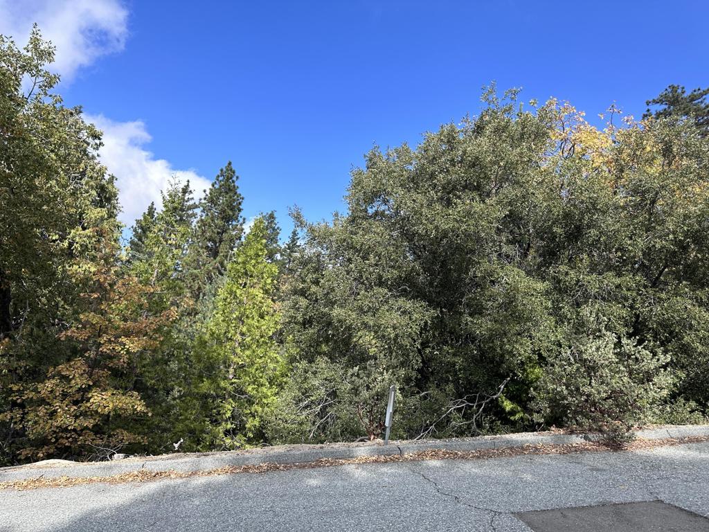 0 Round Robin, Idyllwild, CA 92549