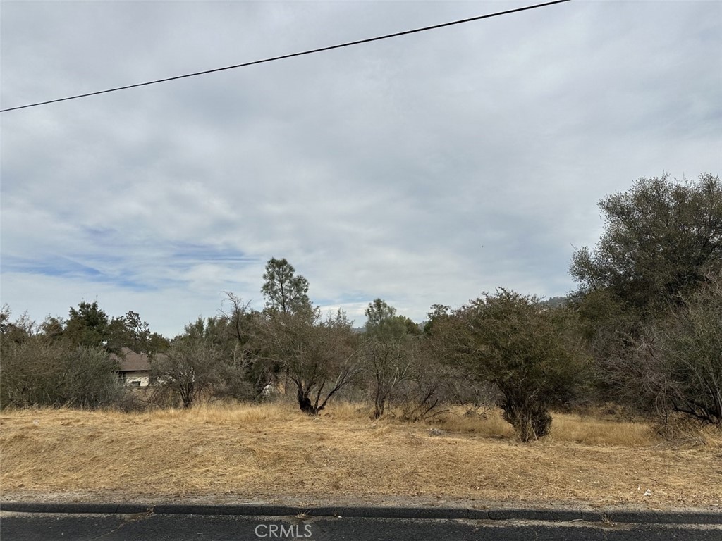 0 Lot 880 Jim Bowie Court | Similar Property Thumbnail