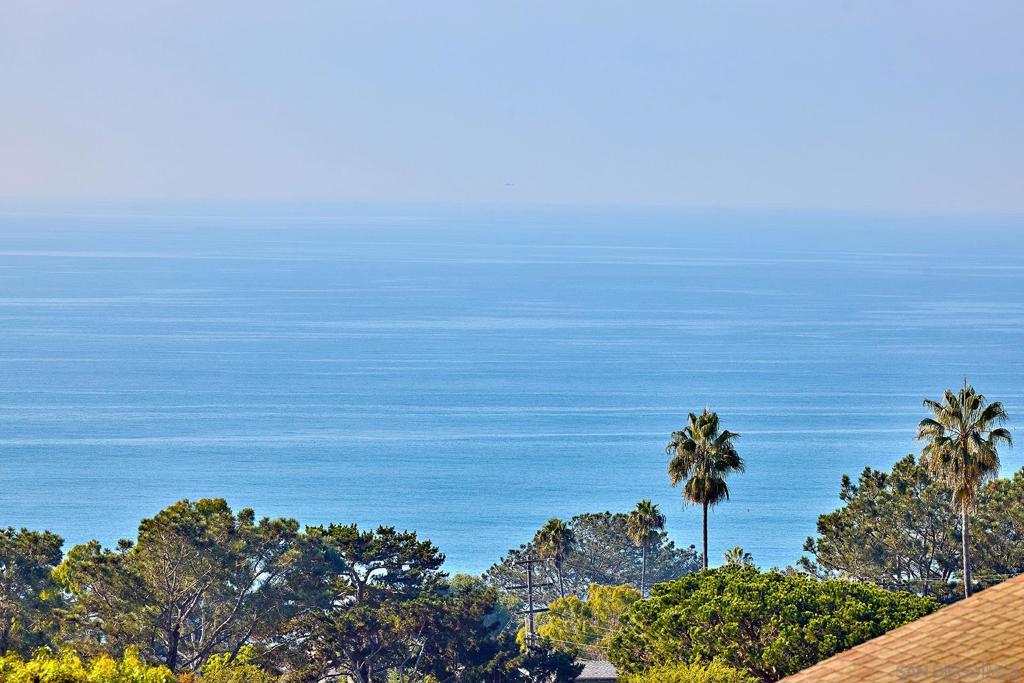 2206 Place Monaco, Del Mar, CA 92014