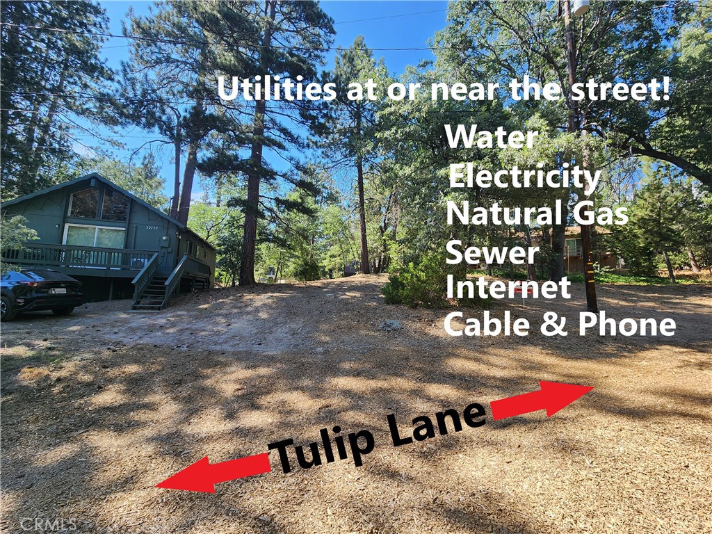 32754 Tulip Lane, Arrowbear, CA 92382