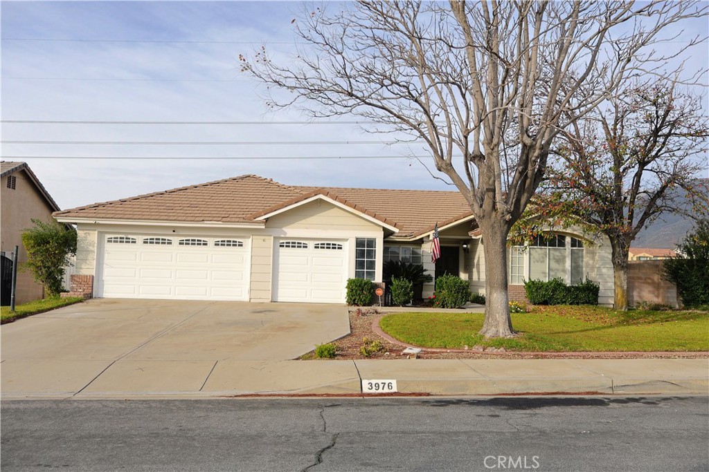 3976 N Flame Tree Avenue | Similar Property Thumbnail