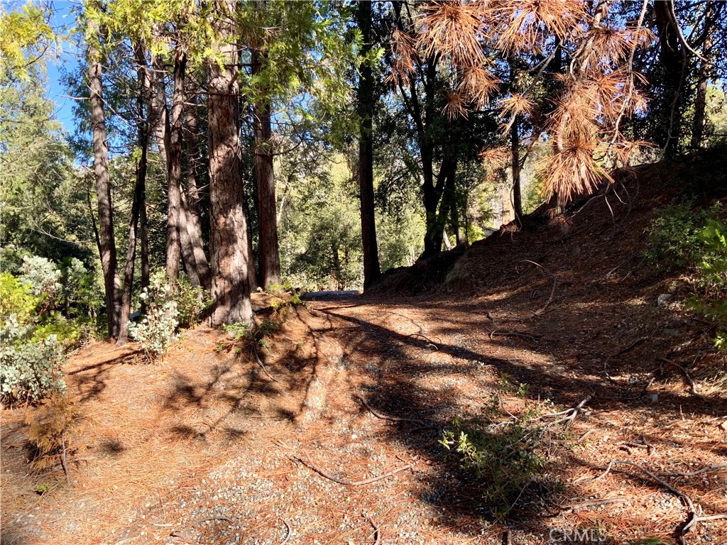 50963 Chu Ranch Road, Oakhurst, CA 93644